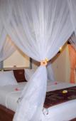 Туры в отель Tiara Homestay Pemuteran Туры в отель Tiara Homestay Pemuteran