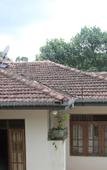 Туры в отель Peradeniya Rest Inn Туры в отель Peradeniya Rest Inn