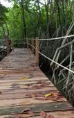 Туры в отель Summer Luxury Beach Resort and Spa Туры в отель Summer Luxury Beach Resort and Spa