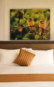 Туры в отель Отель Golden Tulip Dar City Center Туры в отель Отель Golden Tulip Dar City Center