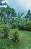 Туры в отель Vaneka Garden House Туры в отель Vaneka Garden House