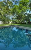 Туры в отель The Rain Tree Hotel Туры в отель The Rain Tree Hotel