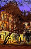 Туры в отель The Rain Tree Hotel Туры в отель The Rain Tree Hotel