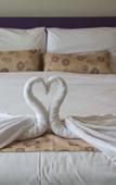 Туры в отель The Serenity Resort Туры в отель The Serenity Resort