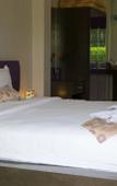 Туры в отель The Serenity Resort Туры в отель The Serenity Resort