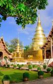 Туры в отель Sabaidee Chiangmai Hotel Туры в отель Sabaidee Chiangmai Hotel
