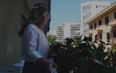Туры в отель Domus Roma Туры в отель Domus Roma