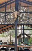 Туры в отель Elephant Lodge Туры в отель Elephant Lodge