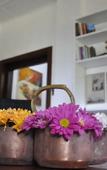 Туры в отель Scottish Planter Glendevon Bungalow Туры в отель Scottish Planter Glendevon Bungalow