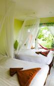 Туры в отель Bubble Bungalow Туры в отель Bubble Bungalow