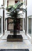 Туры в отель Hotel Southern Comfort Туры в отель Hotel Southern Comfort