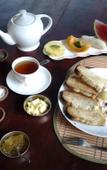 Туры в отель Villa Vidisa Туры в отель Villa Vidisa