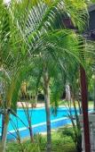 Туры в отель Villa Vidisa Туры в отель Villa Vidisa