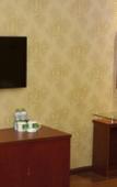 Туры в отель GreenTree Inn HaiKou Longhua District JinNiu Road Hotel Туры в отель GreenTree Inn HaiKou Longhua District JinNiu Road Hotel