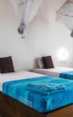 Туры в отель Hostel First Mirissa Туры в отель Hostel First Mirissa