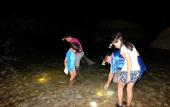 Туры в отель Golden Lotus Resort Туры в отель Golden Lotus Resort