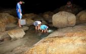 Туры в отель Golden Lotus Resort Туры в отель Golden Lotus Resort