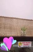 Туры в отель Little Home Hostel Nha Trang Туры в отель Little Home Hostel Nha Trang