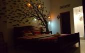 Туры в отель Little Home Hostel Nha Trang Туры в отель Little Home Hostel Nha Trang