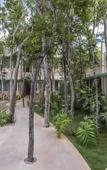 Туры в отель Hotel Tiki Tiki Tulum Туры в отель Hotel Tiki Tiki Tulum