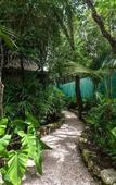 Туры в отель Hotel Tiki Tiki Tulum Туры в отель Hotel Tiki Tiki Tulum