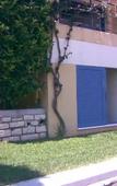 Туры в отель Verde Blu Beach Resort Туры в отель Verde Blu Beach Resort