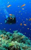 Туры в отель Amed Sunset Beach Туры в отель Amed Sunset Beach