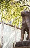 Туры в отель Shibuya Creston Hotel Туры в отель Shibuya Creston Hotel
