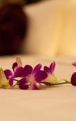 Туры в отель Hanoi Serenity Hotel Туры в отель Hanoi Serenity Hotel