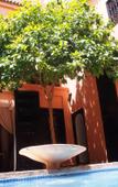 Туры в отель Riad Ajmal Туры в отель Riad Ajmal