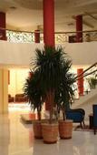 Туры в отель Sharm Reef Hotel Туры в отель Sharm Reef Hotel