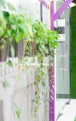 Туры в отель Lilac Relax Residence Туры в отель Lilac Relax Residence