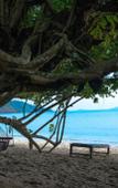 Туры в отель The Tropical Beach Resort Туры в отель The Tropical Beach Resort