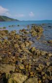 Туры в отель The Tropical Beach Resort Туры в отель The Tropical Beach Resort