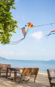 Туры в отель The Tropical Beach Resort Туры в отель The Tropical Beach Resort