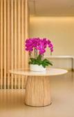 Туры в отель Palmyard Hotel Туры в отель Palmyard Hotel