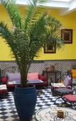Туры в отель Riad Sidi Magdoul Туры в отель Riad Sidi Magdoul
