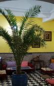 Туры в отель Riad Sidi Magdoul Туры в отель Riad Sidi Magdoul