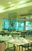 Туры в отель Holiday Inn San Luis Potosi Quijote by IHG Туры в отель Holiday Inn San Luis Potosi Quijote by IHG