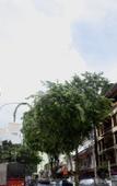 Туры в отель Anggun Boutique Hotel Туры в отель Anggun Boutique Hotel