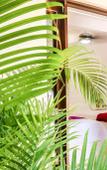 Туры в отель Kin Ha Tulum Hotel Туры в отель Kin Ha Tulum Hotel