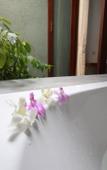 Туры в отель Samui Heritage Resort Туры в отель Samui Heritage Resort