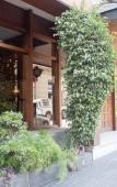 Туры в отель Hostal Alogar Туры в отель Hostal Alogar