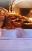 Туры в отель The Hotel Luzern, Autograph Collection Туры в отель The Hotel Luzern, Autograph Collection