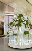Туры в отель Hotel President Wilson, A Luxury Collection Hotel, Geneva Туры в отель Hotel President Wilson, A Luxury Collection Hotel, Geneva
