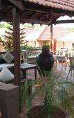 Туры в отель Goa Beach House Туры в отель Goa Beach House