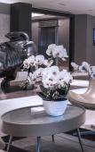 Туры в отель M Hotel Singapore City Centre Туры в отель M Hotel Singapore City Centre