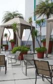 Туры в отель Novotel Singapore on Kitchener Туры в отель Novotel Singapore on Kitchener