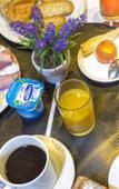 Туры в отель Hotel de La Paix Tour Eiffel Туры в отель Hotel de La Paix Tour Eiffel