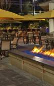 Туры в отель Sheraton Orlando Lake Buena Vista Resort Туры в отель Sheraton Orlando Lake Buena Vista Resort